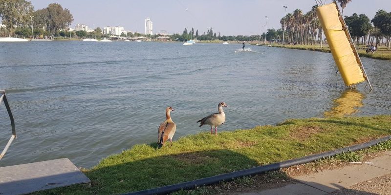 פארק מנחם בגין