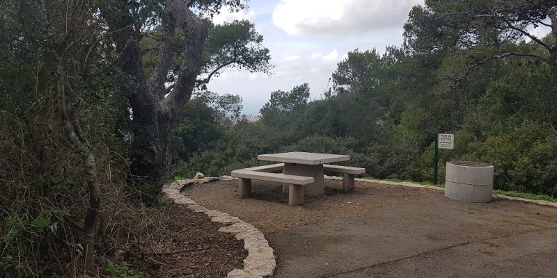 חניון הכלניות בפארק יערות הכרמל