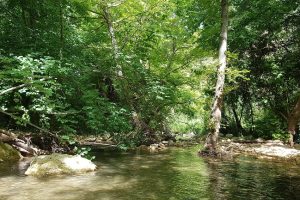 עין חרדלית נחל כזיב