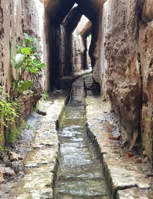 עין צור רמת הנדיב