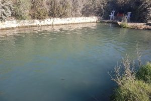 עין יבקע מעיין הסוסים נחל ציפורי