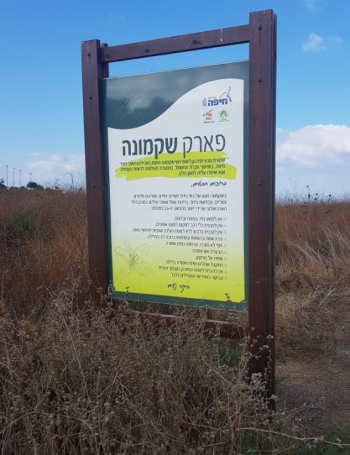 שמורת הטבע וגן לאומי חוף שקמונה והג'קוזי של חיפה