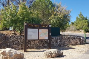 טיול מעגלי בסטף למשפחות