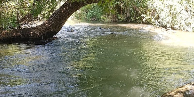 נחל חרמון תחתון - נבי יהודה