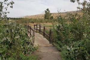 חניון אשמורה – חניון הדרדרה למרגלות הגולן