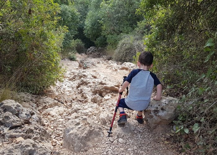 הצניר בנחל כלח – שוויצריה הקטנה פארק הכרמל