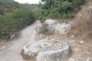 מחצבות קדומים אנדרטת אסון הכרמל חוות משמר הכרמל