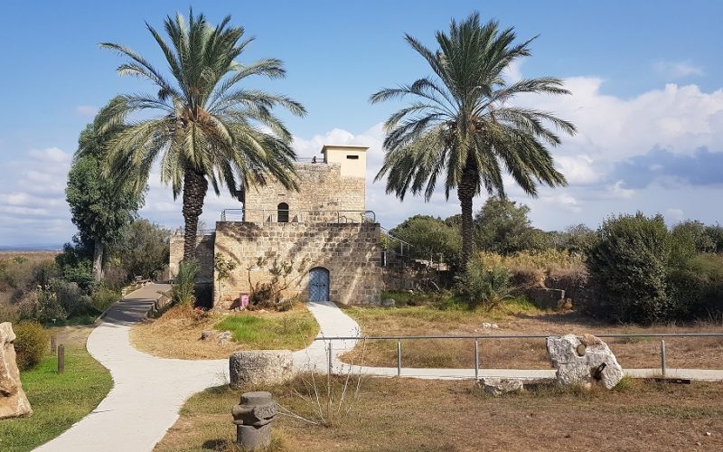 שמורת הטבע עין אפק מסלול ביצות – טיול ליד הבית