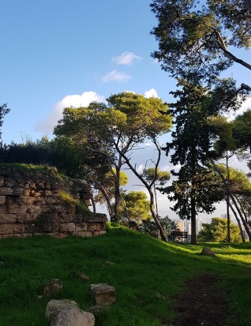 מבצר ראש מיה – נקודת תצפית בלב העיר חיפה