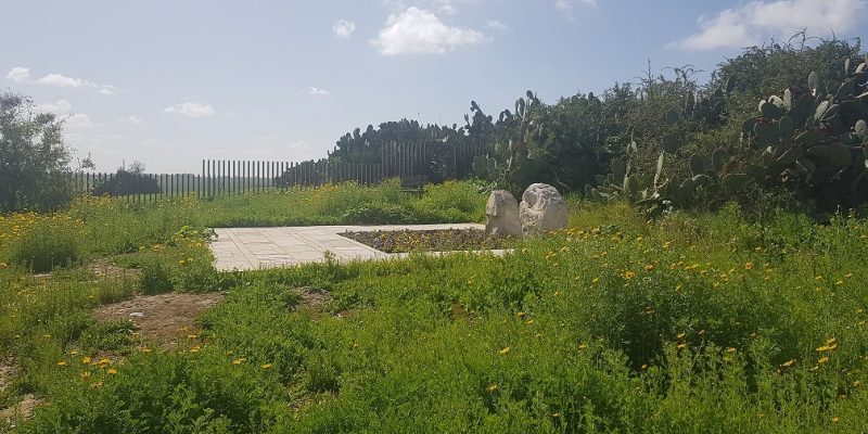 גבעת הכלניות – קבר אריאל ולילי שרון מול חוות השקמים