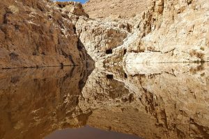 עין אום צאלח: המדריך המלא למעיין החבוי בלב מדבר