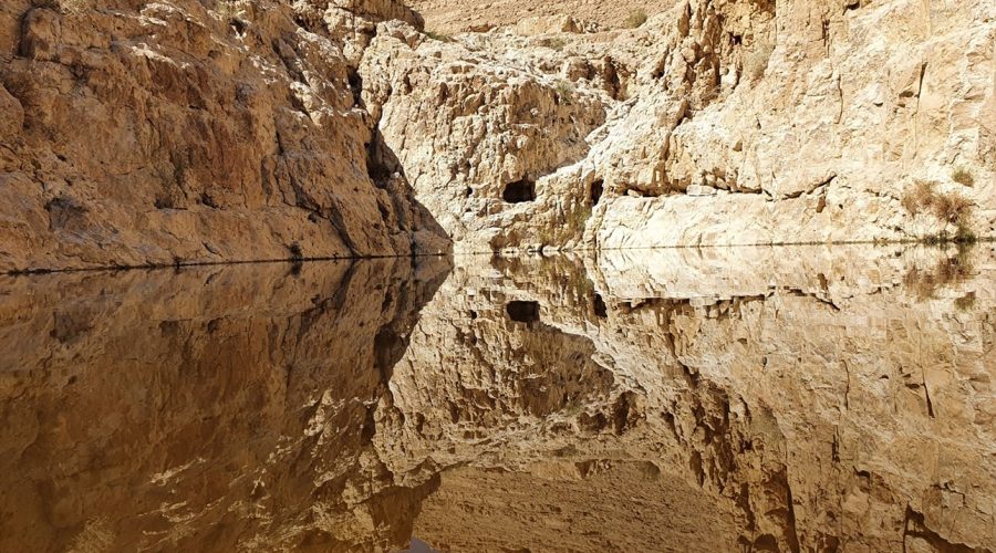 עין אום צאלח: המדריך המלא למעיין החבוי בלב מדבר