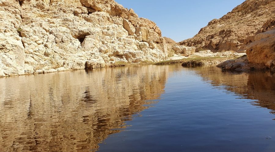 עין אום צאלח: המדריך המלא למעיין החבוי בלב מדבר