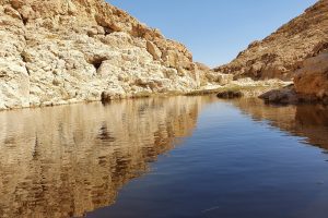 עין אום צאלח: המדריך המלא למעיין החבוי בלב מדבר