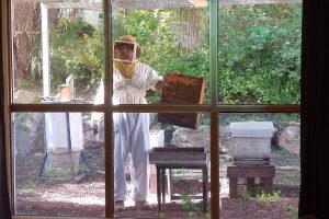 תיירות יד מרדכי – חוויה קיבוצית לכל המשפחה