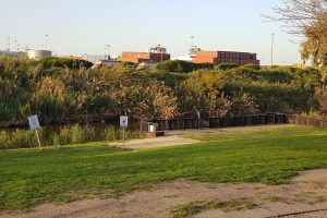 פארק נחל לכיש באשדוד – טבע, חיות ושעשועים והכל בחינם
