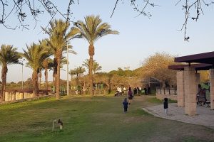 פארק נחל לכיש באשדוד – טבע, חיות ושעשועים והכל בחינם