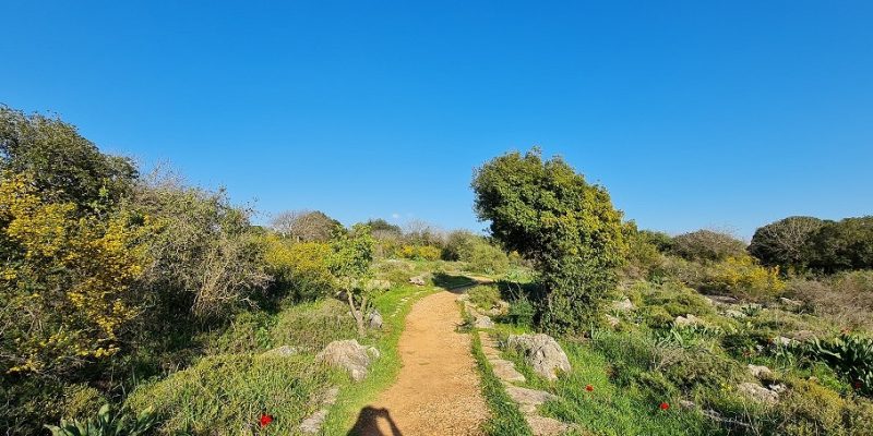 נקיקי יפתח – פארק הנינג'ה של הטבע