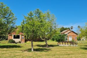 קיבוץ כפר מסריק – סוד הפלא הקיבוצי