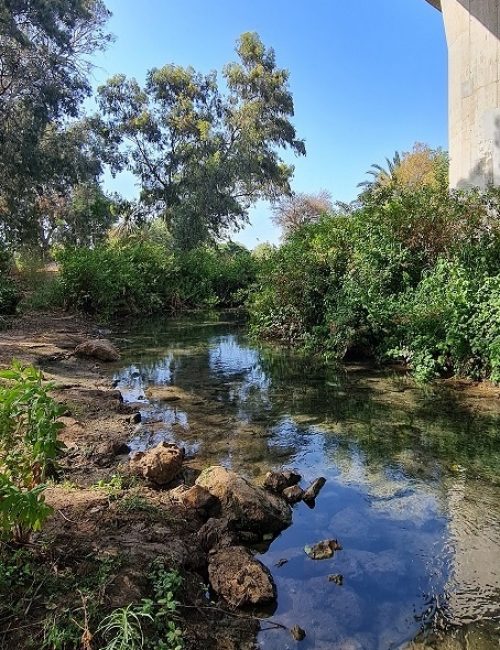 נחל סעדיה – פנינת הטבע הכי מפתיעה של חיפה