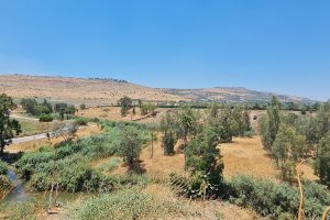גן לאומי תל עובדיה: אתר פרהיסטורי בעמק הירדן
