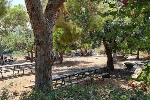 פארק שוני – פארק ז'בוטינסקי