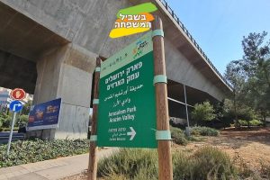 גן לאומי עיינות תלם פארק הארזים והגשרים התלויים – פארק ירושלים