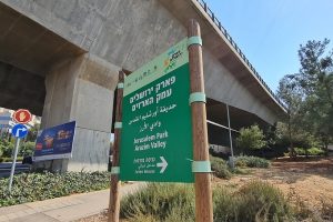גן לאומי עיינות תלם פארק הארזים והגשרים התלויים – פארק ירושלים