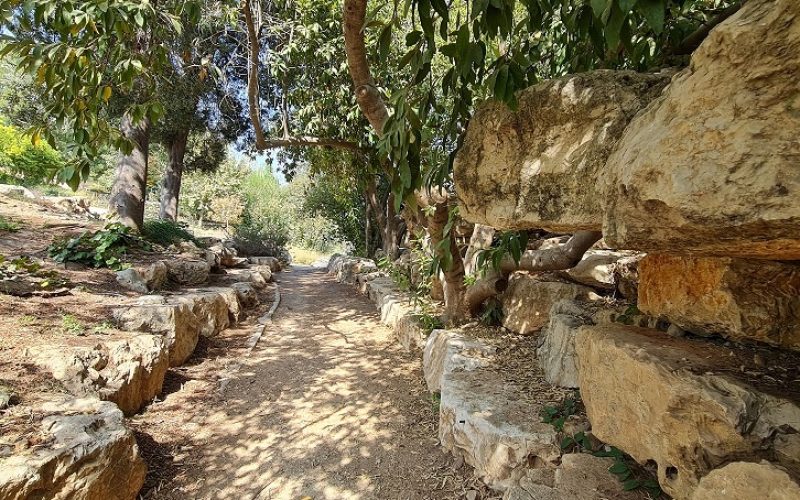 הגן הבוטני האוניברסיטאי בגבעת רם – ירושלים