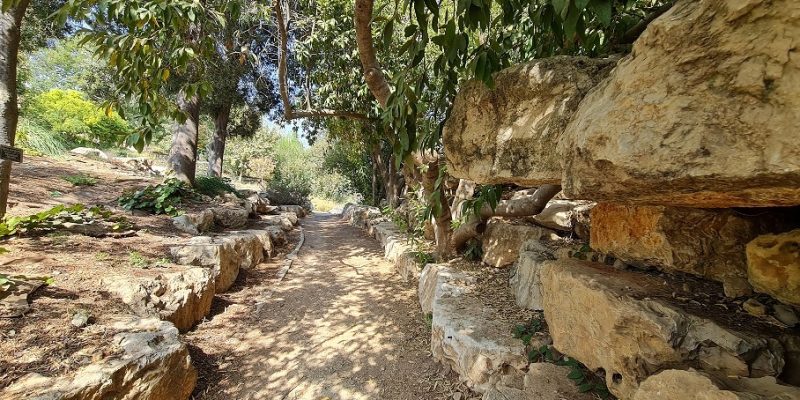 הגן הבוטני האוניברסיטאי בגבעת רם – ירושלים