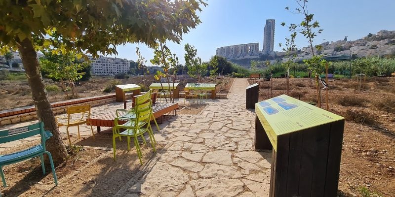 פארק עמק הצבאים - פארק עירוני בלב ירושלים