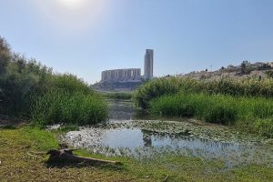 פארק עמק הצבאים - פארק עירוני בלב ירושלים