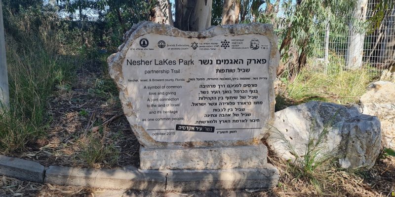 פארק האגמים נשר: פריחת הנרקיסים באחו נחל הקישון