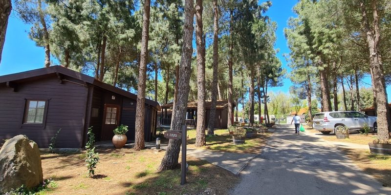 אירוח בקיבוץ אורטל צפון רמת הגולן