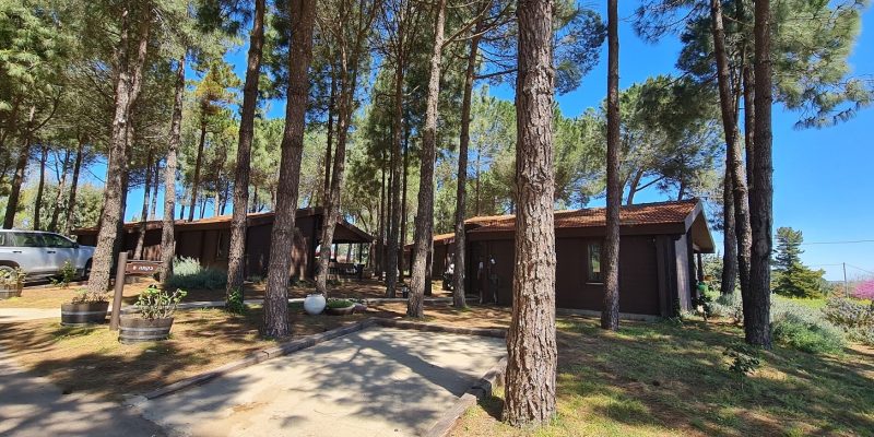 אירוח בקיבוץ אורטל צפון רמת הגולן