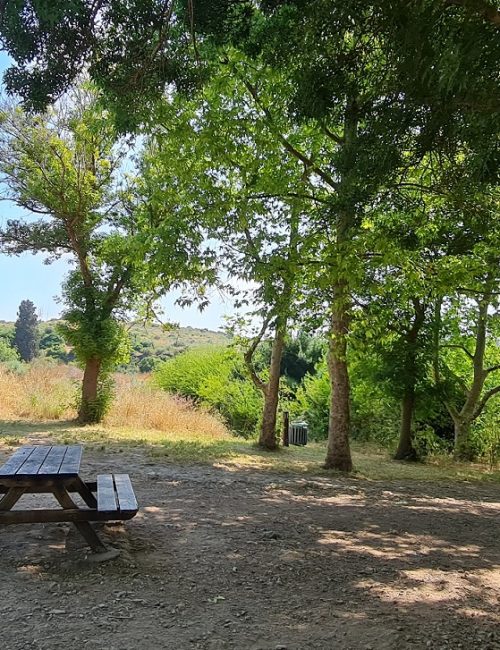 מתחם פיקניקים לצד עין צור רמת הנדיב