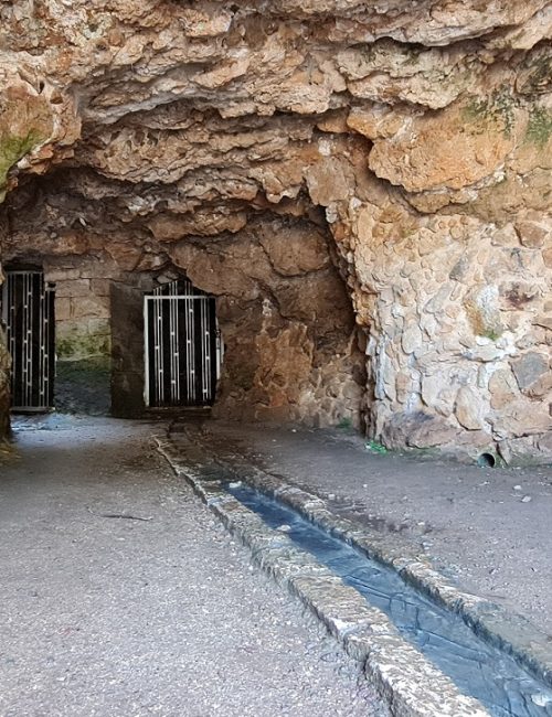 בית המעיין עין צור רמת הנדיב