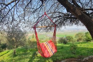 קפה על הקצה: עגלת קפה בקריית טבעון