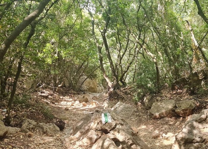 הצניר בנחל כלח – שוויצריה הקטנה פארק הכרמל