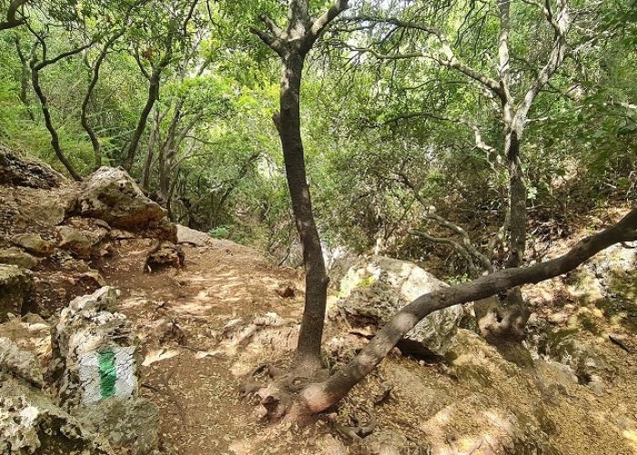 הצניר בנחל כלח – שוויצריה הקטנה פארק הכרמל