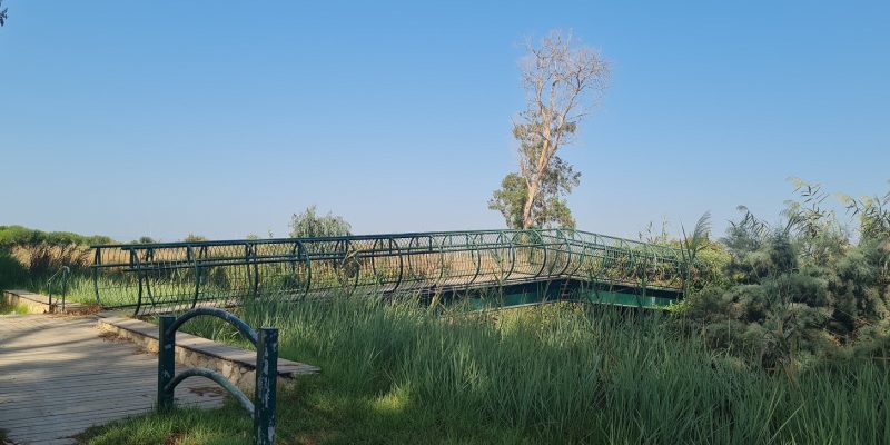 פארק נחל נעמן שמורת עין נמפית