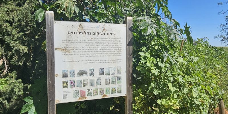 נחל פרדסים בתל אביב