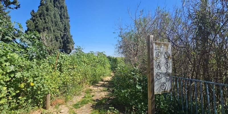 נחל פרדסים בתל אביב