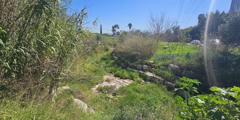 נחל פרדסים בתל אביב