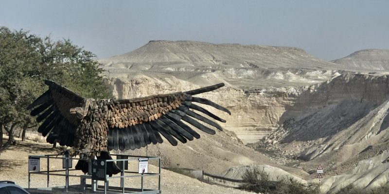 גן לאומי קבר בן גוריון ומרכז הצפרות מבואת מצוק הצינים