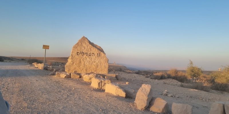 הכניסה לדרך נוף עם הרכבים גן הפסלים מצפה רמון