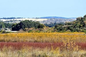 שביל סובב פרכו“ר