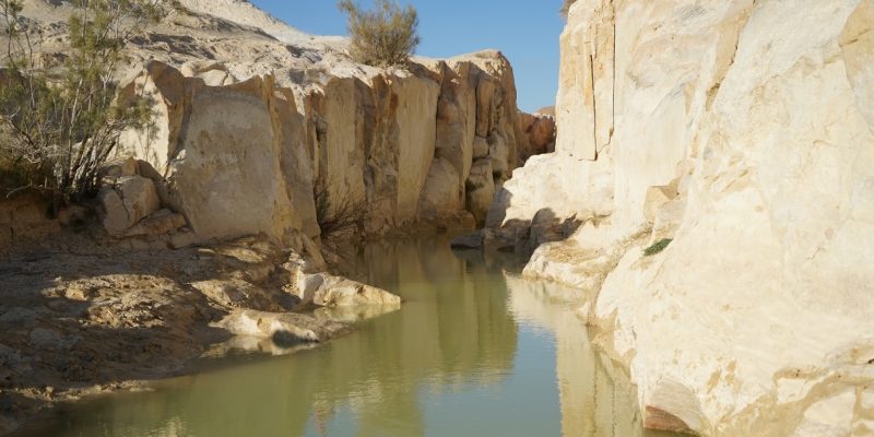 הקניון הלבן