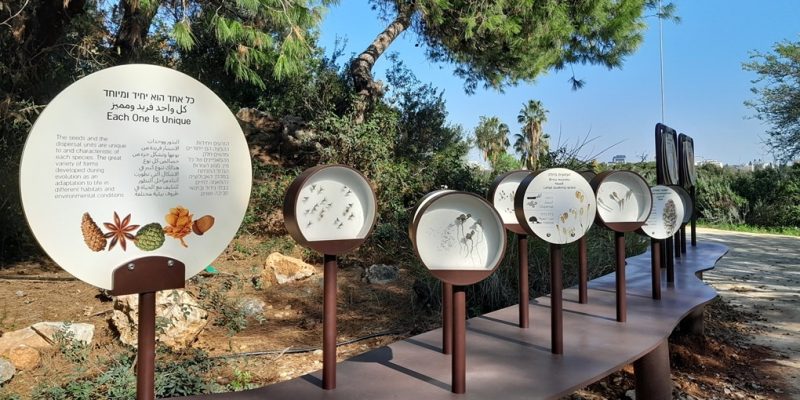 באדיבות: הגן הבוטני של אוניברסיטת תל אביב