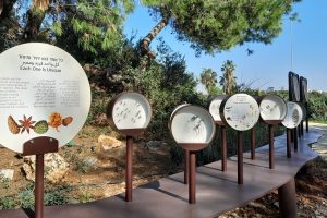 באדיבות הגן הבוטני של אוניברסיטת תל אביב: גן יהודה נפתלי